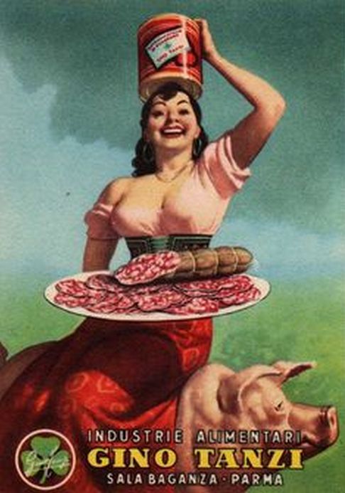 d35e7bf9911ea5c385b04479af0526c8