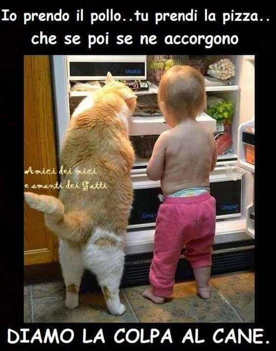 9259518f921c40be73568bf6d0cf68b9