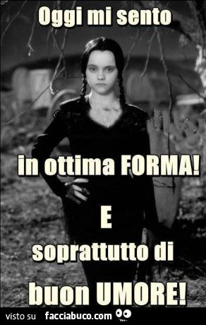 74b8520f8686aa659a48a9b866b13169