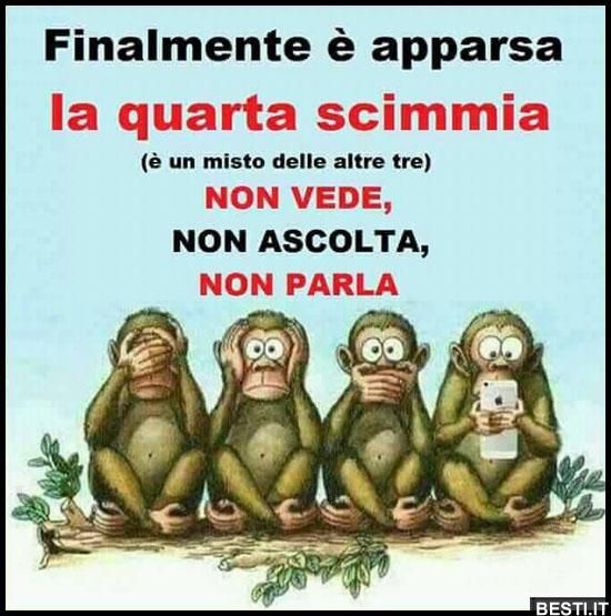 187933369a5f6f637c4cce83208b4b0e