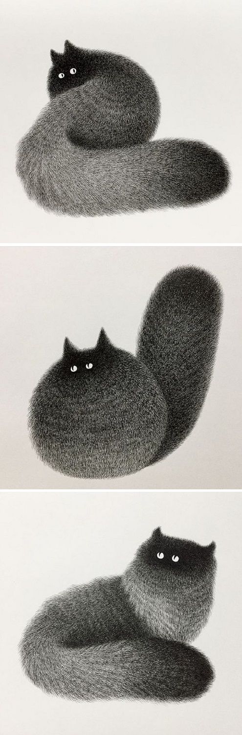 539c63997364817d2e4167139a0274c9