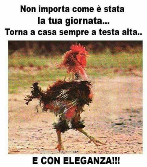 f3a35bce0ef35c1b665fd8f8cc792190