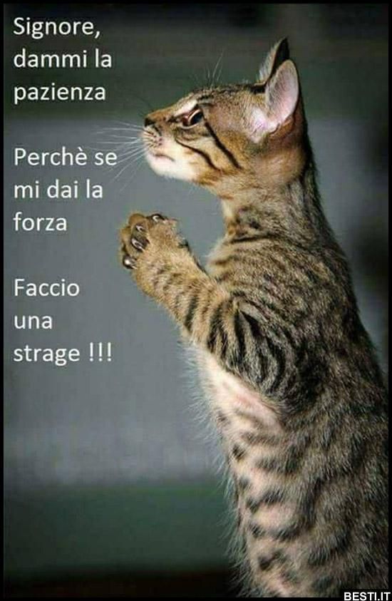 2462b3a6955906cb1e9f895904181aaa