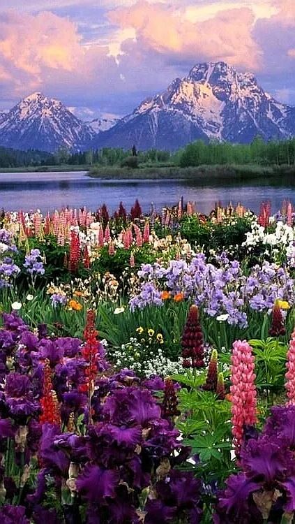 31ae1400e5b6019a36a4fd4ecde087f9