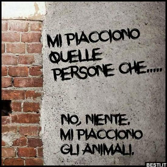 745bc9219c9182fc43a5e0652fccf152