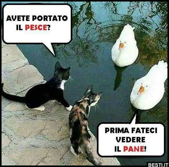 0936fc12e152f9e26c3be9ee9a66b223