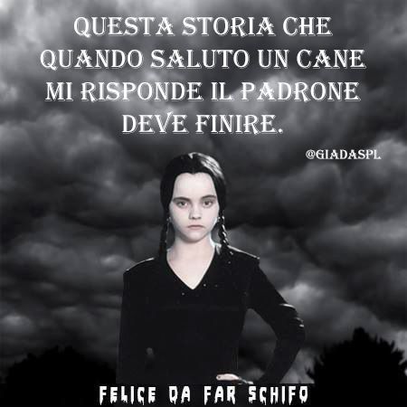 8ef979339555052b08dce5d5dca9c077