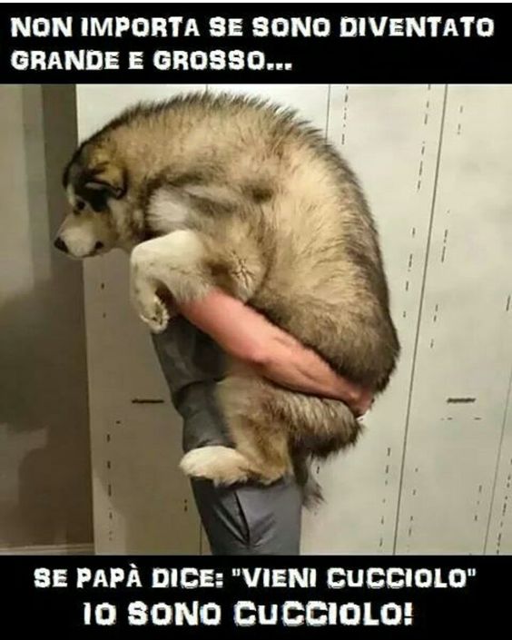 d3a1ae34c69680ddf1c50baf18da5743