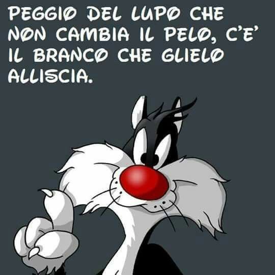 01cec76034ad7a7f74c6ada89788b6f1