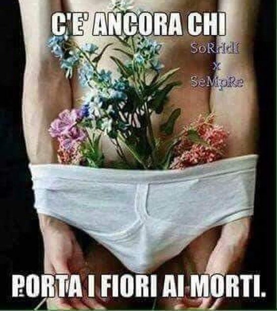 0481aaff512f8d0568d90baeaae8136b