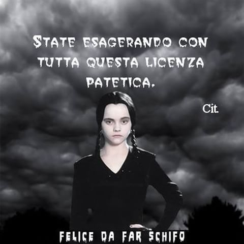 2441f6742a9893b1e1fcb3865aac5616