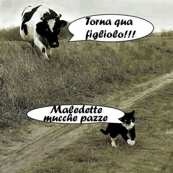 dcdad01f2a1d5ac57044c75190e9449c