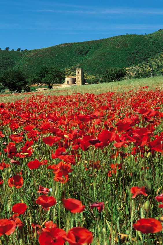 efa2c0ac8103297c56deb2ee188afdbf