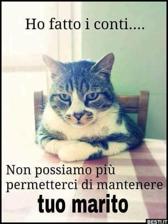 ff3839c66cacb9322f5e66a07a8b0a6f