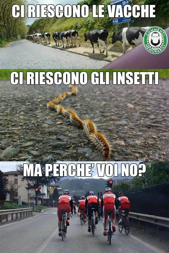 292c39fe3e5acd6469b87cab8da43dd5