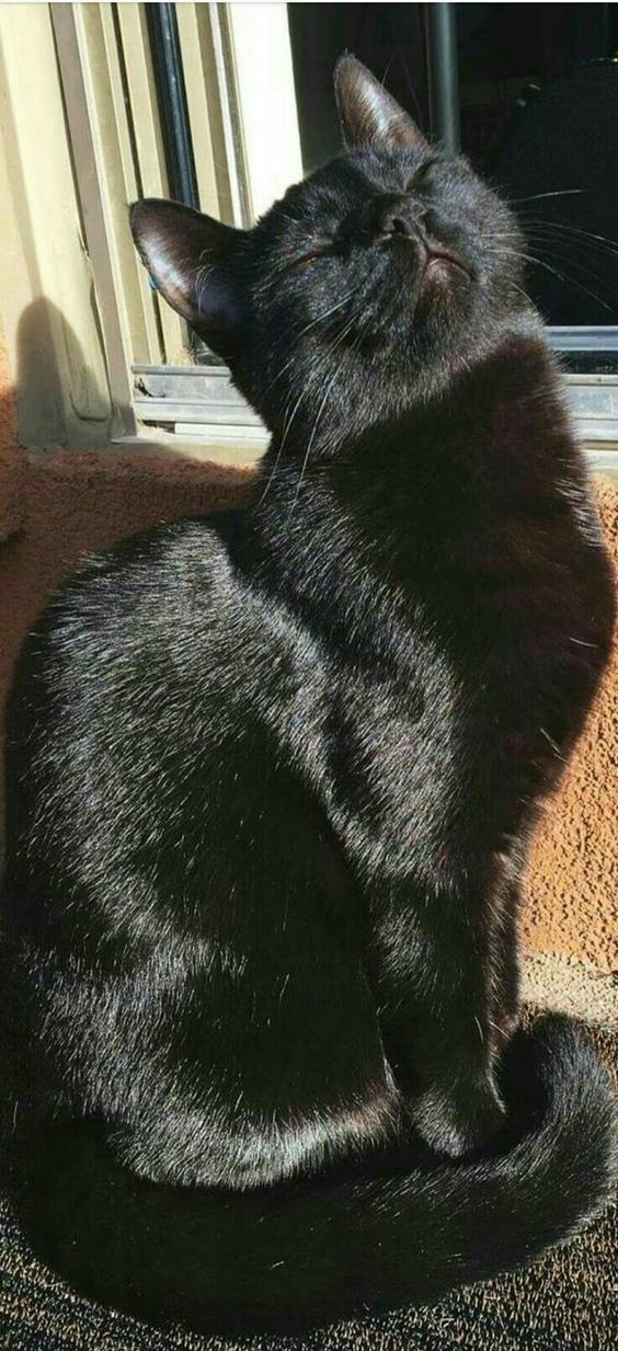 671759f1ac85a934995be9ca3de8f260