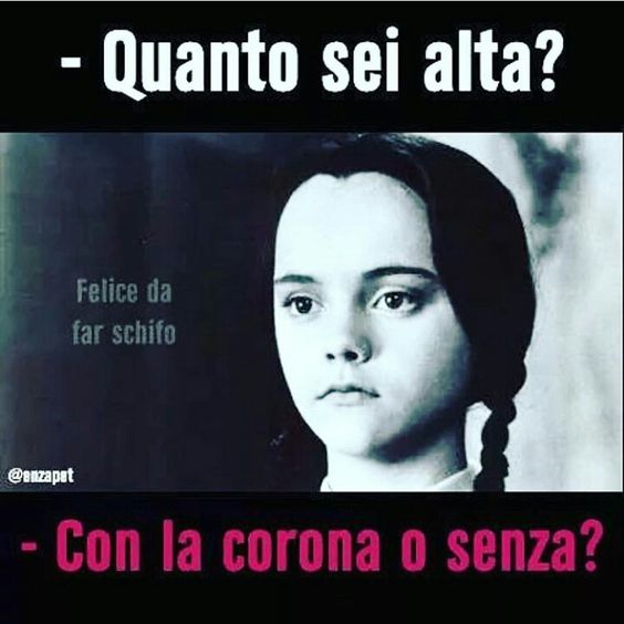 274555d6da8ab5ed4aed780af76cafb7