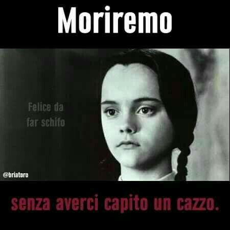 752c732cc719b09e583f276e31e0bda2