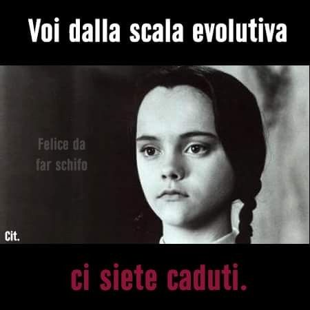 c9d9b43d0a450b0043b091118ca719df