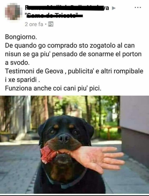 fc72c638e97a643366f9031916ab06cd