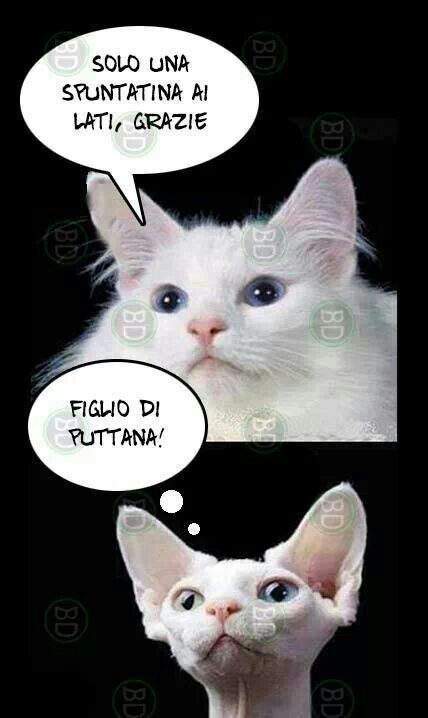 8d8a06304523a0e25385702fd1ab1948