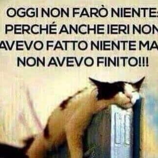 d138a29dd129720f661da54c4a3db91b