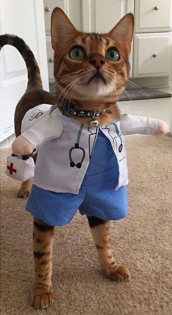 1f2f4746abb6601b780c0cde586cff8b