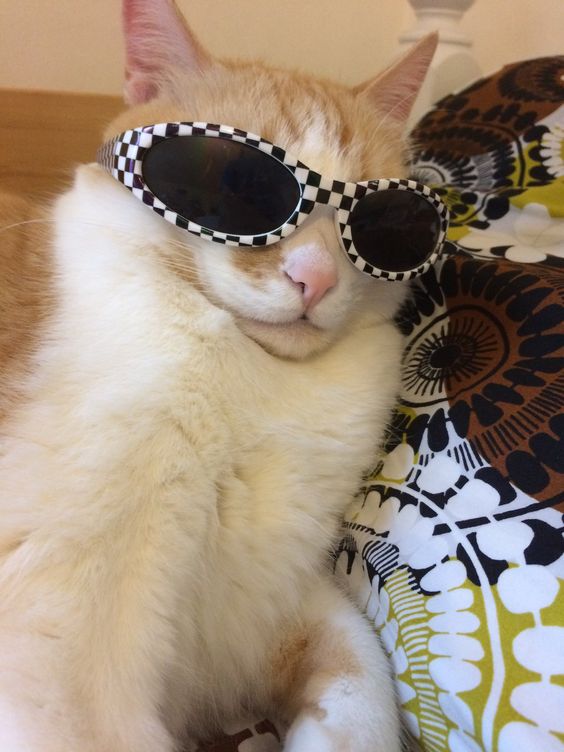 4be35e1c132cf21d44a1b155cbf080a8