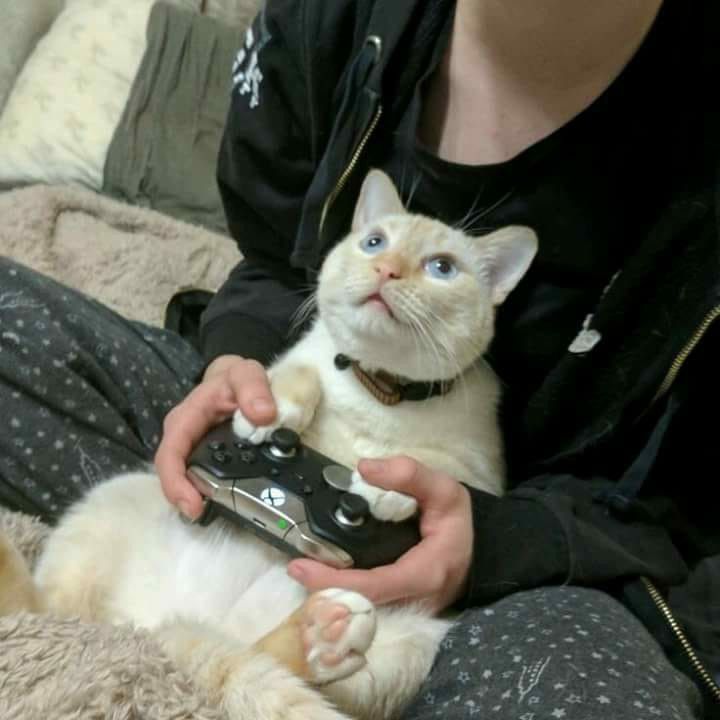 59d6d54e6fcd7681292826903621060f