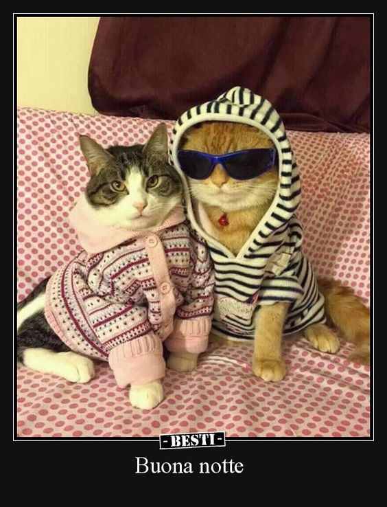 b2efad5a61e4dad026c2014bbe3c0474