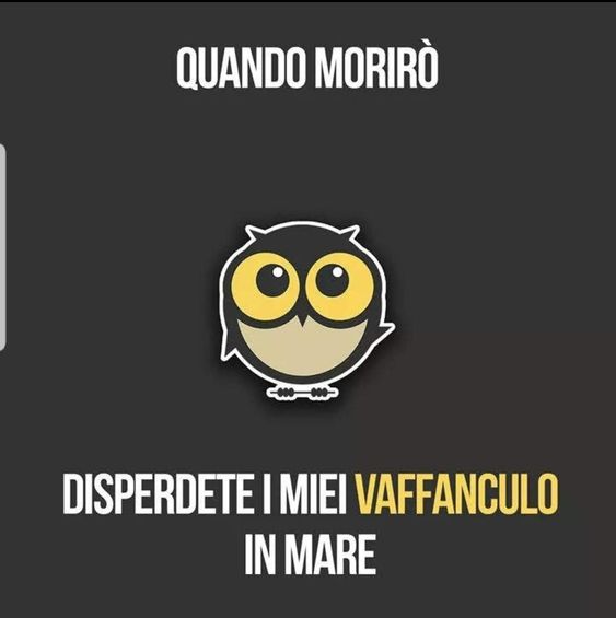 c2db46f5f86e1b2b480dbfd9e7aa7f86