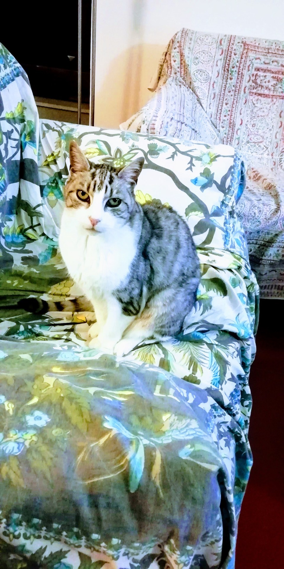 img_20181129_184351-effects1