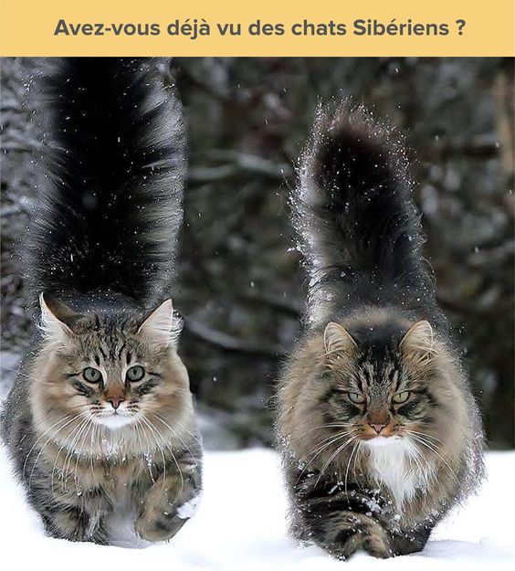 c3c0e29c7addac5f5a4cb9b9063fde98