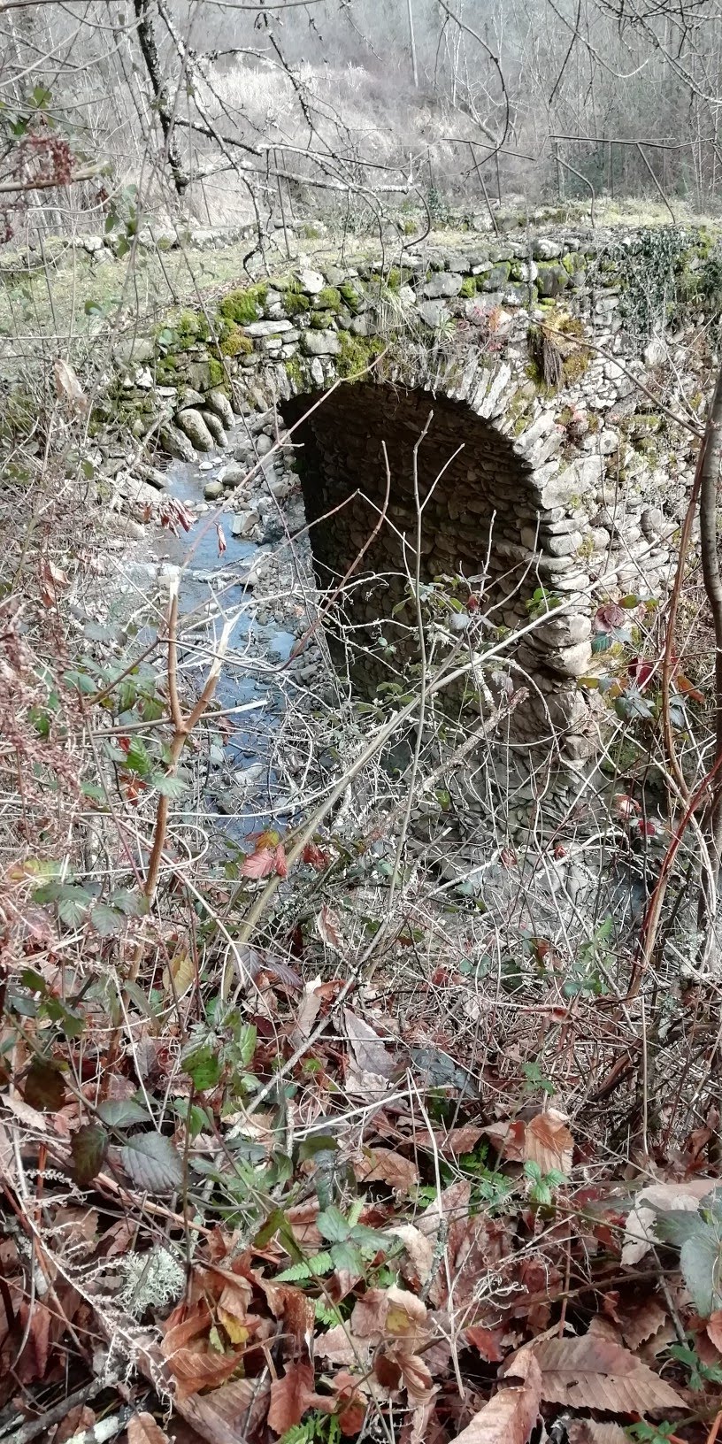 IMG_20190120_110318-816x1632