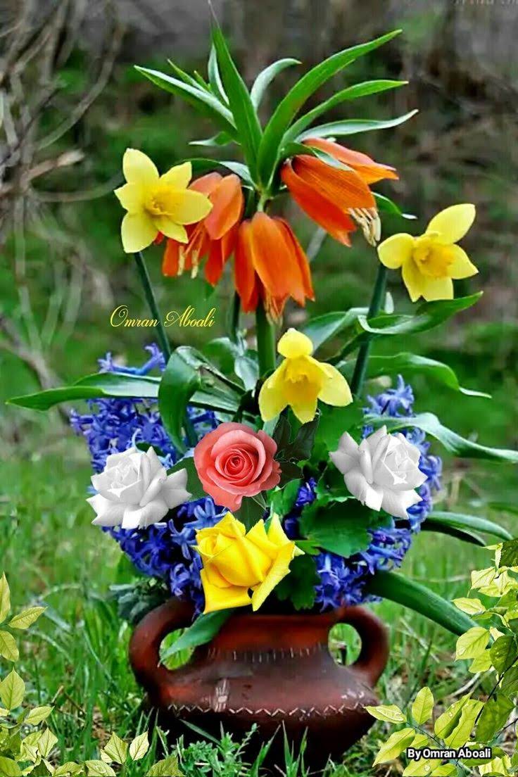 829d14ec6d82905d55b5a14bed9563d4