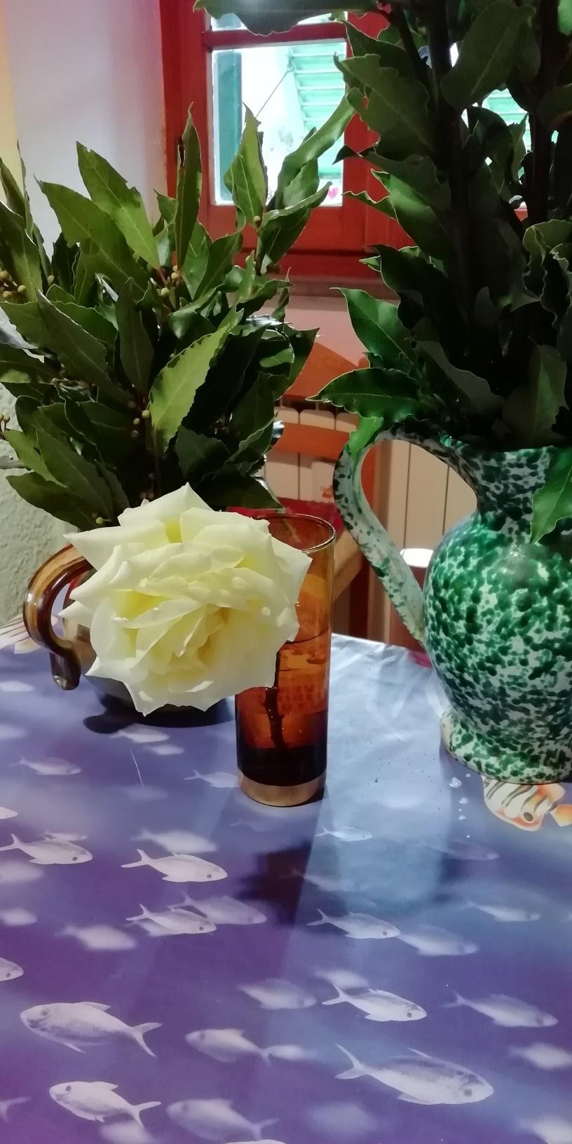 img_20190208_162355-816x1632