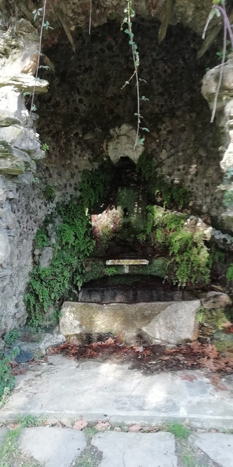 img_20190227_093324-816x1632