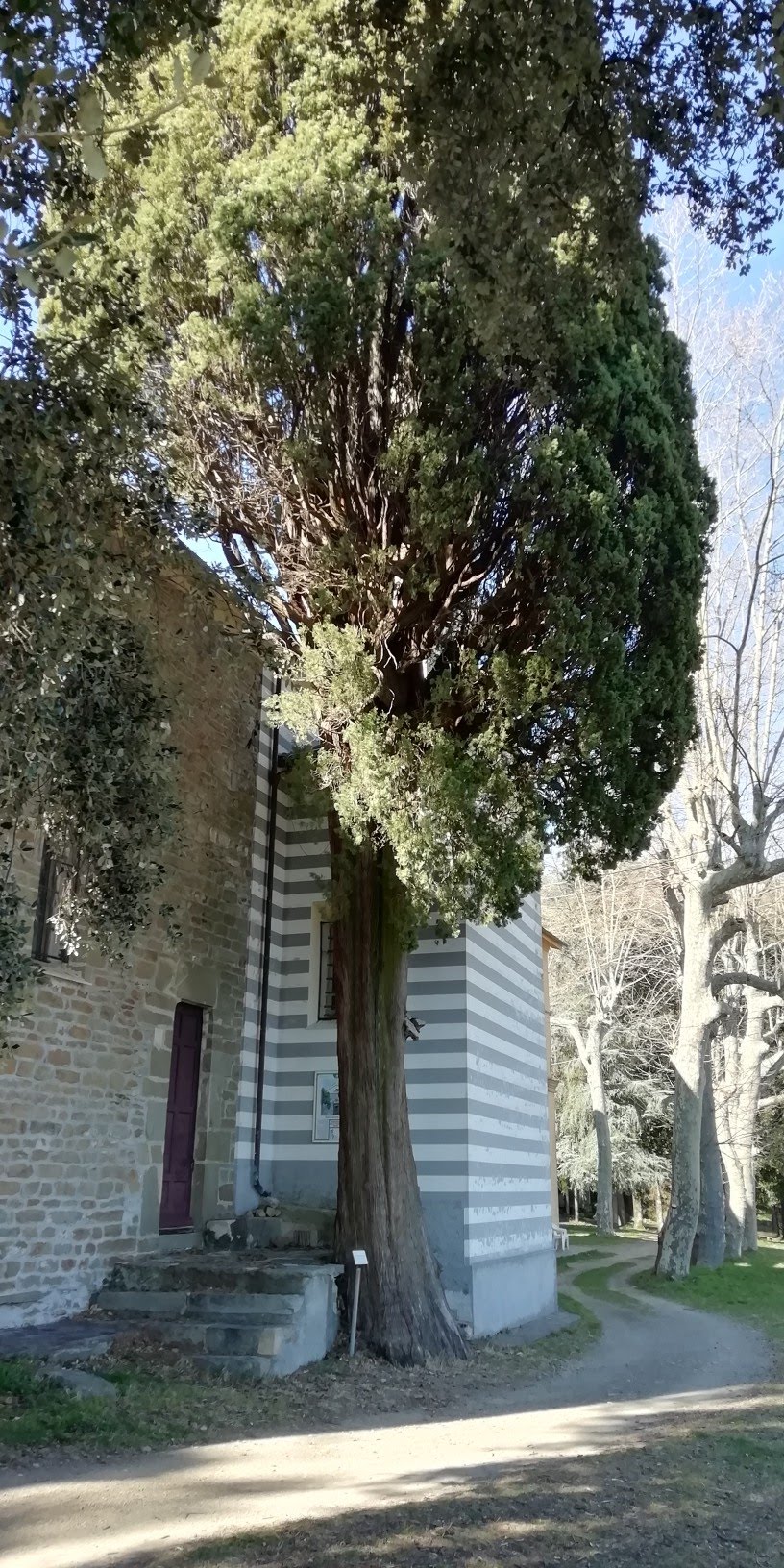 img_20190227_140506-816x1632