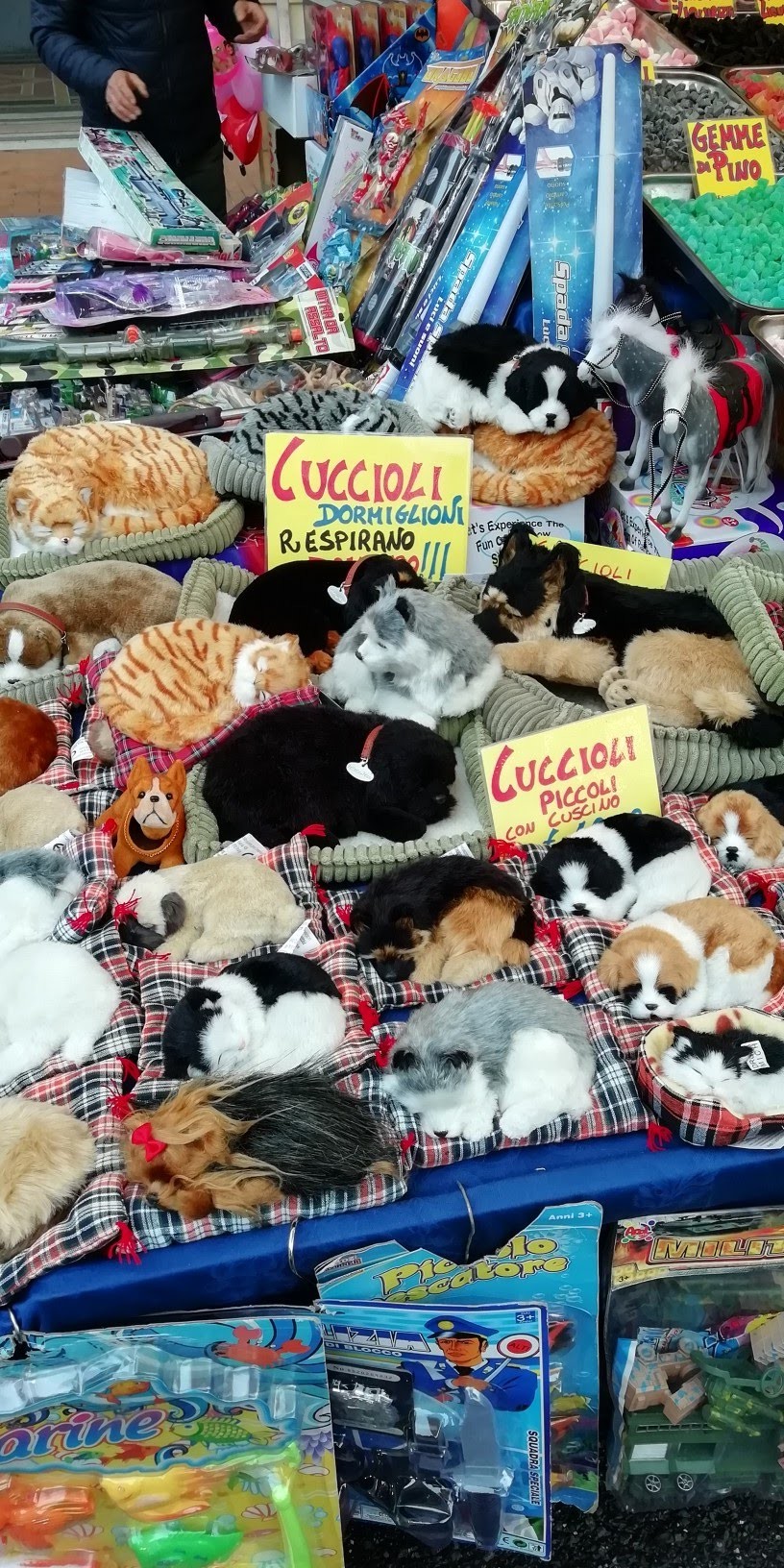 img_20190318_083831-816x1632