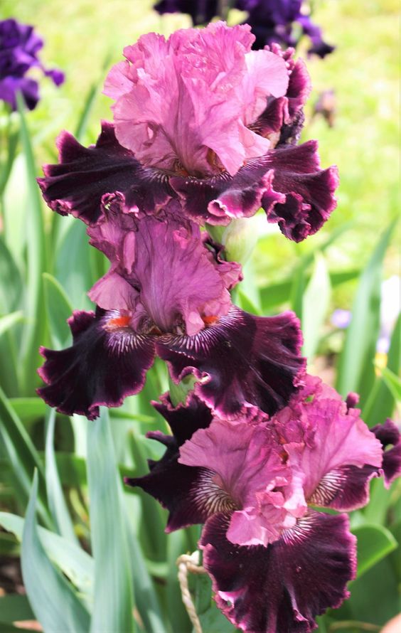 5609a802693b6c26e8052dc2b97c14e9