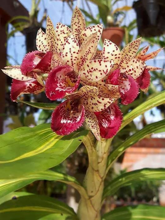 829bc7c1c8bef671534e331a103f5428