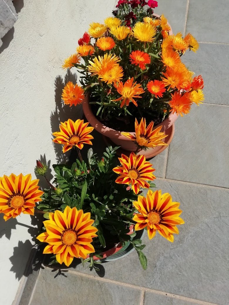 img_20190420_143210-780x1040