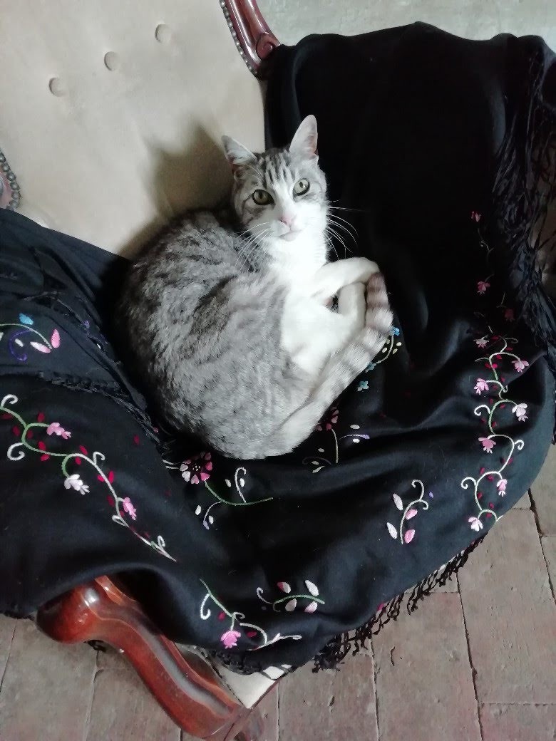 img_20190421_134439-780x1040